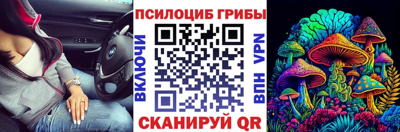 Псилоцибиновые грибы Magic Shrooms  Бирюсинск 